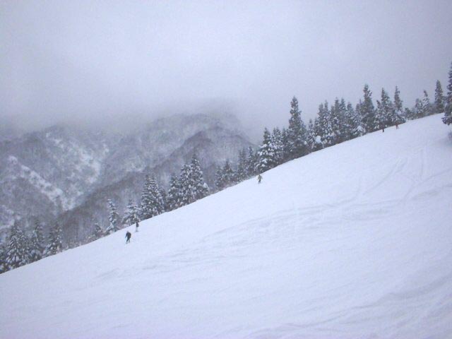八海山 スキー スクール